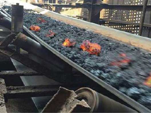 Heat Resistance Conveyor Belt high temperature Rexline Engineering